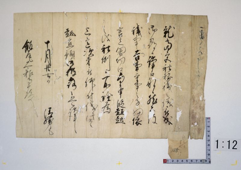 石清水八幡宮文書(Iwashimizu Hachimangu Archive) · University