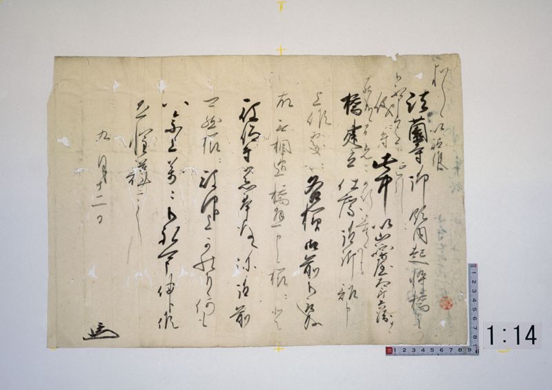 石清水八幡宮文書 (Iwashimizu Hachimangu Archive) · University of