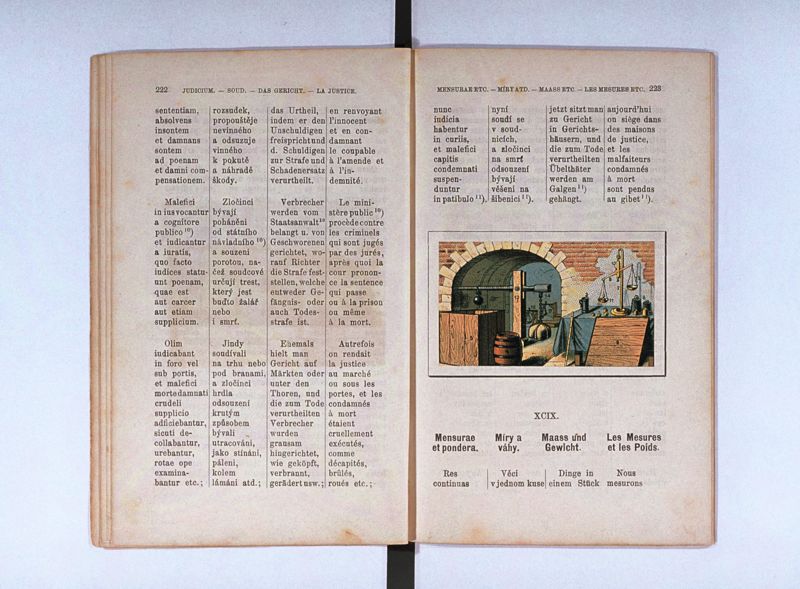 Joan. Amos. Comenii Orbis pictus ; Svět v obrazých ; Die Welt in Bildern ; Le monde en tableaux