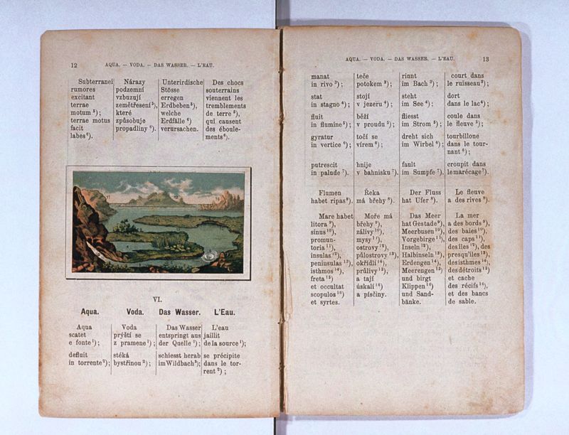 Joan. Amos. Comenii Orbis pictus ; Svět v obrazých ; Die Welt in Bildern ; Le monde en tableaux