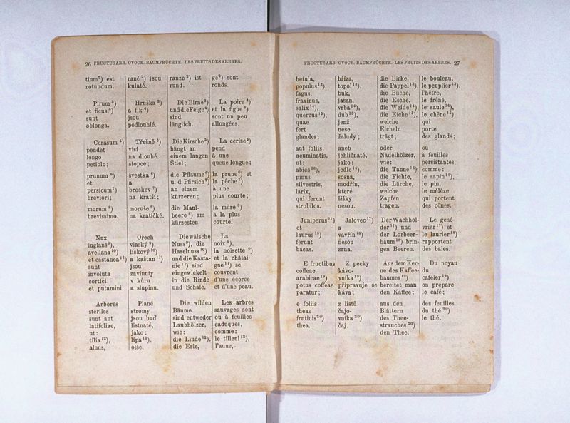 Joan. Amos. Comenii Orbis pictus ; Svět v obrazých ; Die Welt in Bildern ; Le monde en tableaux