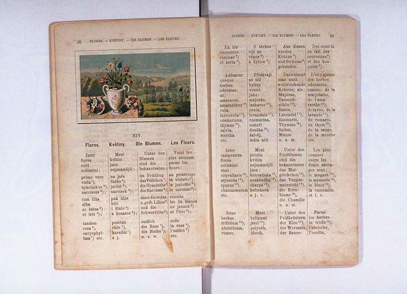 Joan. Amos. Comenii Orbis pictus ; Svět v obrazých ; Die Welt in Bildern ; Le monde en tableaux