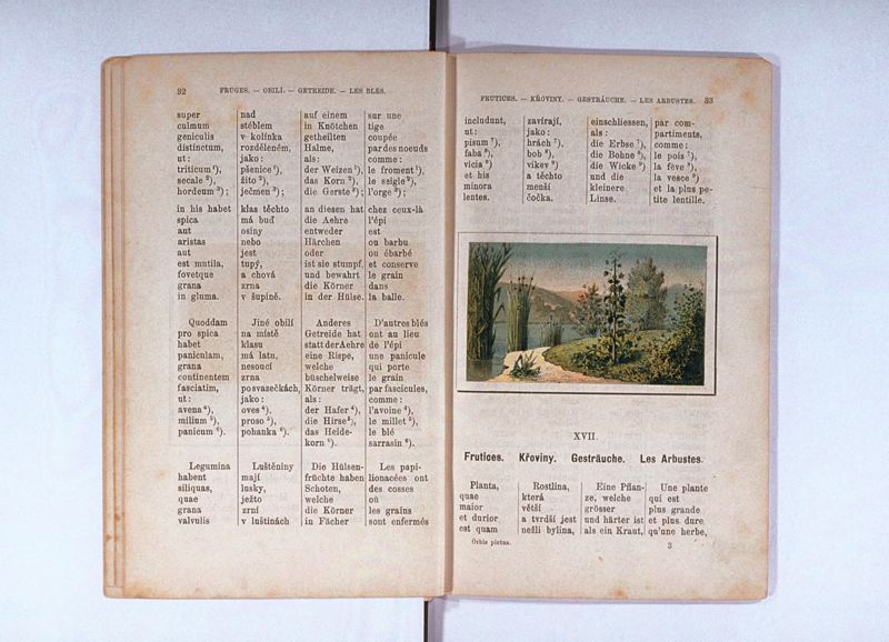 Joan. Amos. Comenii Orbis pictus ; Svět v obrazých ; Die Welt in Bildern ; Le monde en tableaux