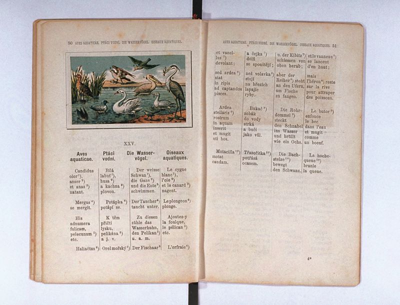 Joan. Amos. Comenii Orbis pictus ; Svět v obrazých ; Die Welt in Bildern ; Le monde en tableaux