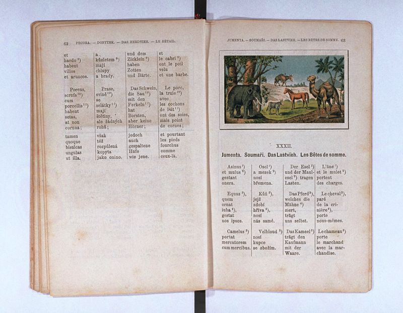 Joan. Amos. Comenii Orbis pictus ; Svět v obrazých ; Die Welt in Bildern ; Le monde en tableaux