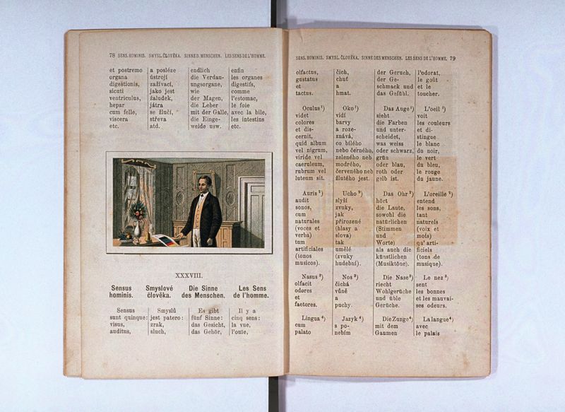 Joan. Amos. Comenii Orbis pictus ; Svět v obrazých ; Die Welt in Bildern ; Le monde en tableaux