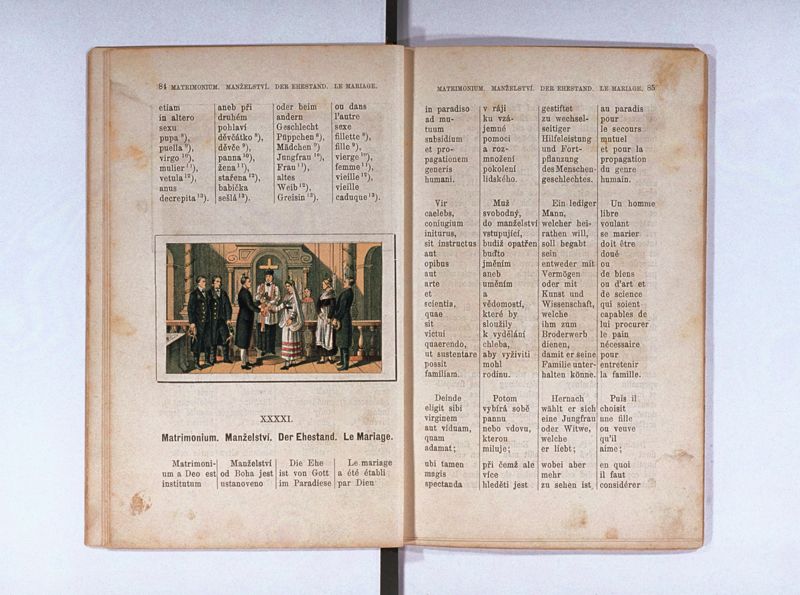 Joan. Amos. Comenii Orbis pictus ; Svět v obrazých ; Die Welt in Bildern ; Le monde en tableaux