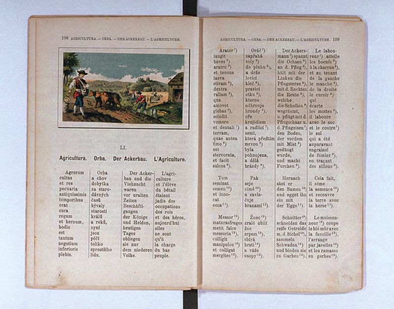 Joan. Amos. Comenii Orbis pictus ; Svět v obrazých ; Die Welt in Bildern ; Le monde en tableaux