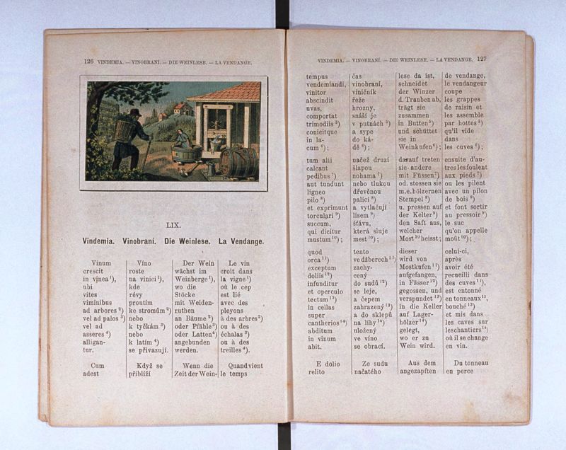 Joan. Amos. Comenii Orbis pictus ; Svět v obrazých ; Die Welt in Bildern ; Le monde en tableaux