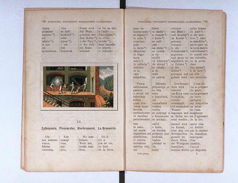 Joan. Amos. Comenii Orbis pictus ; Svět v obrazých ; Die Welt in Bildern ; Le monde en tableaux