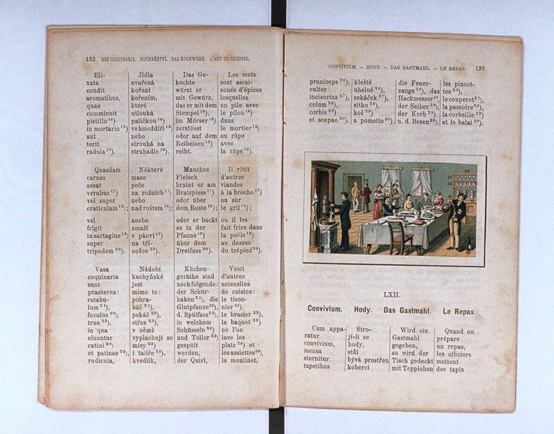 Joan. Amos. Comenii Orbis pictus ; Svět v obrazých ; Die Welt in Bildern ; Le monde en tableaux