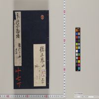筑波根物語 楽天市場】【スペシャルセール】 シーチング 生地 ラメ 入り