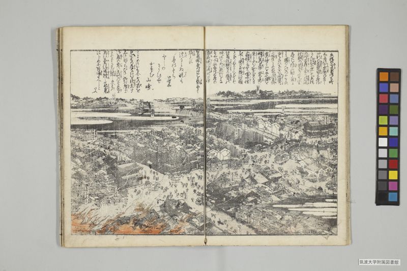 安政見聞誌 , 上