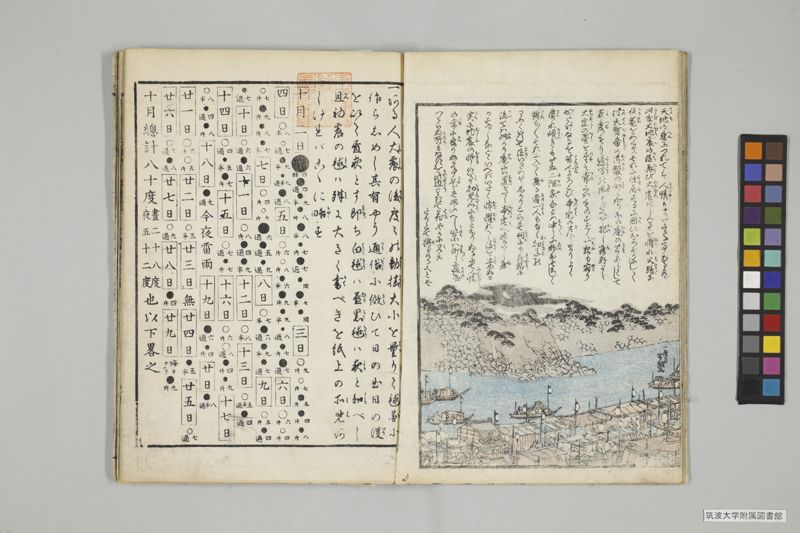 安政見聞誌 , 上