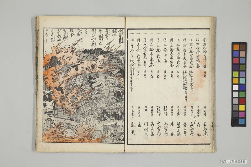 安政見聞誌 , 上