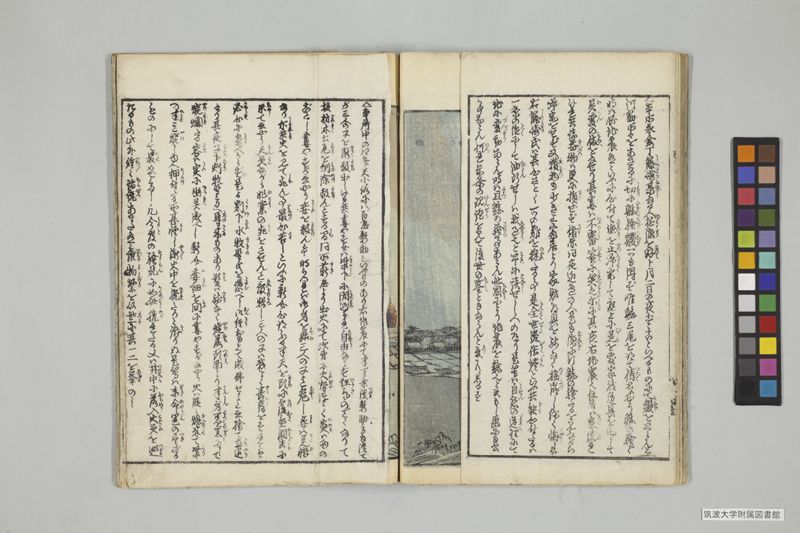 安政見聞誌 , 上