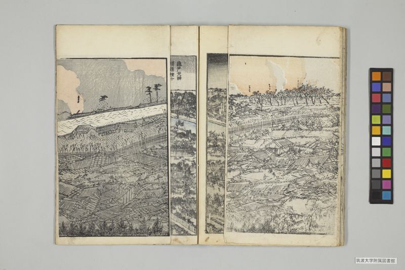 安政見聞誌 , 上