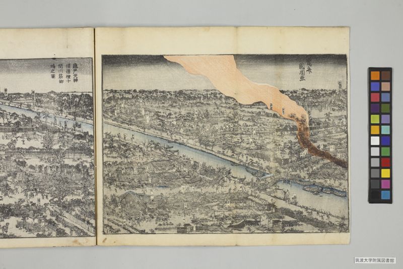 安政見聞誌 , 上