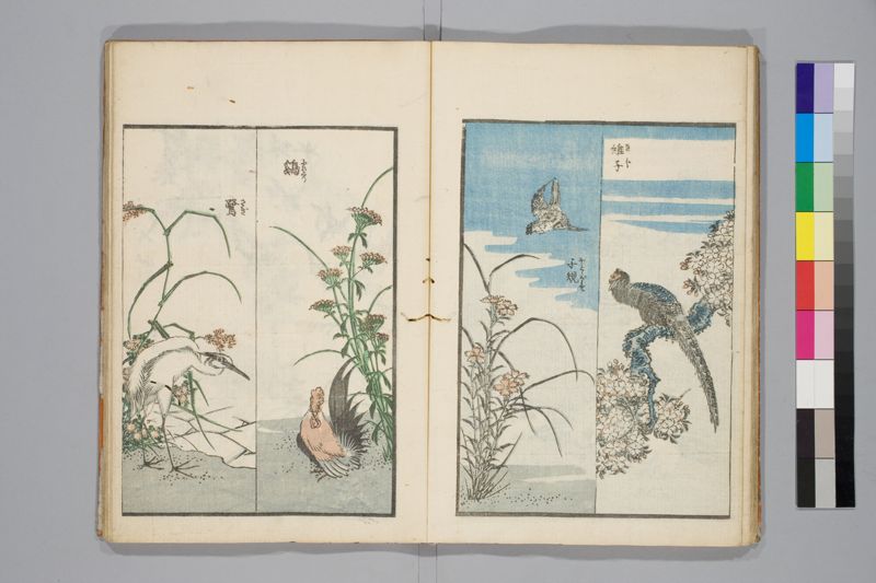 傳神開手北齋画苑 , [3]篇