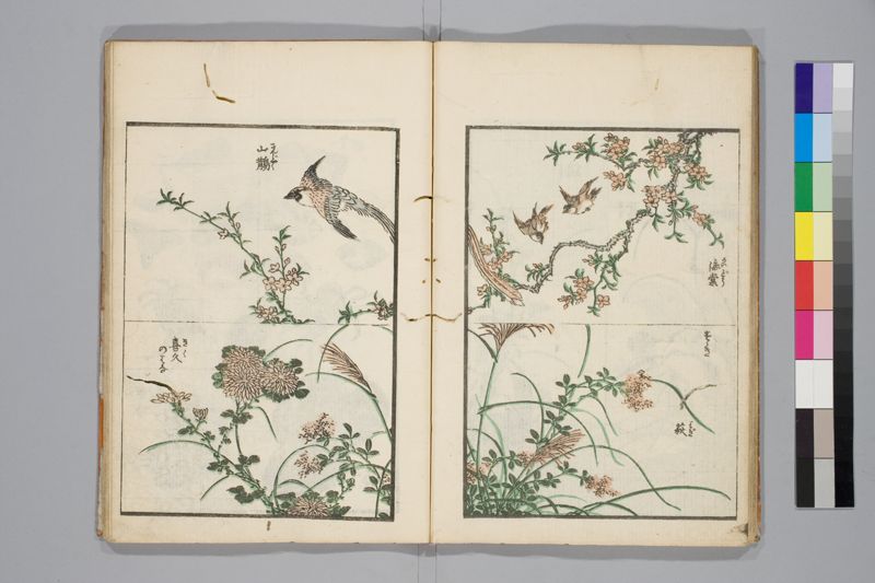 傳神開手北齋画苑 , [3]篇