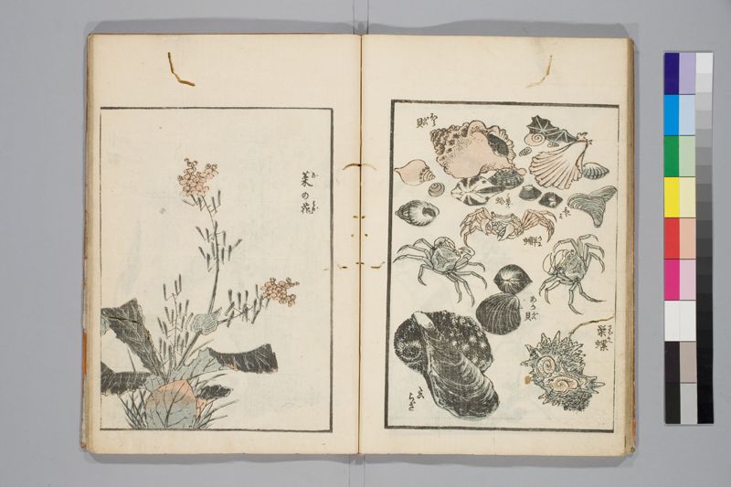 傳神開手北齋画苑 , [3]篇