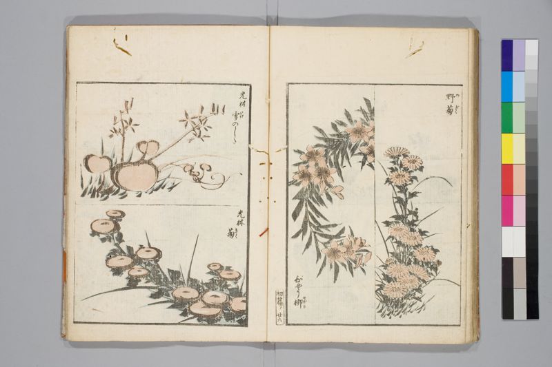 傳神開手北齋画苑 , [3]篇