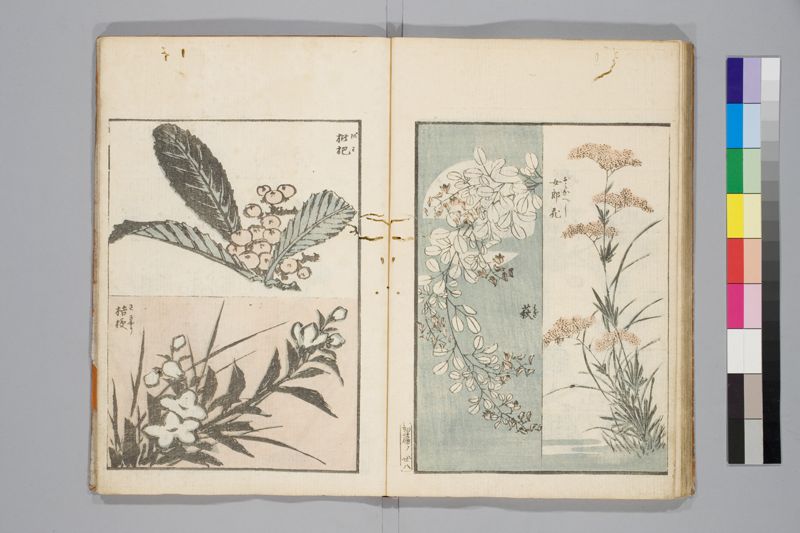 傳神開手北齋画苑 , [3]篇