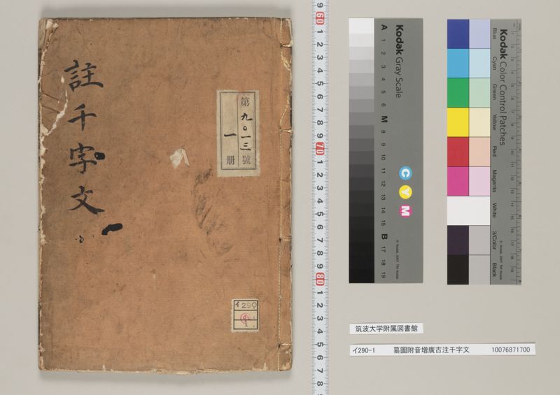 筑波根物語 楽天市場】【スペシャルセール】 シーチング 生地 ラメ 入り