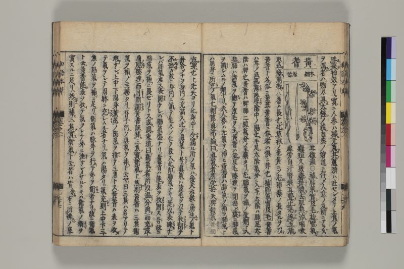 廣益本草大成 , 巻之1-2