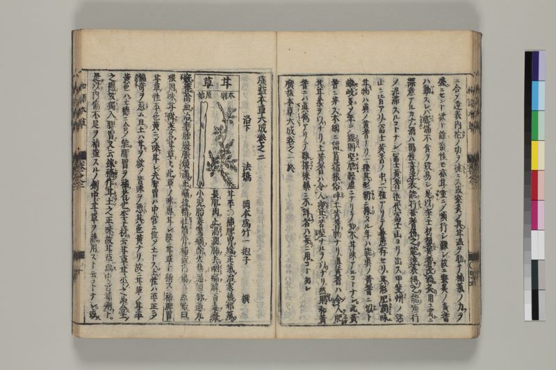 廣益本草大成 , 巻之1-2