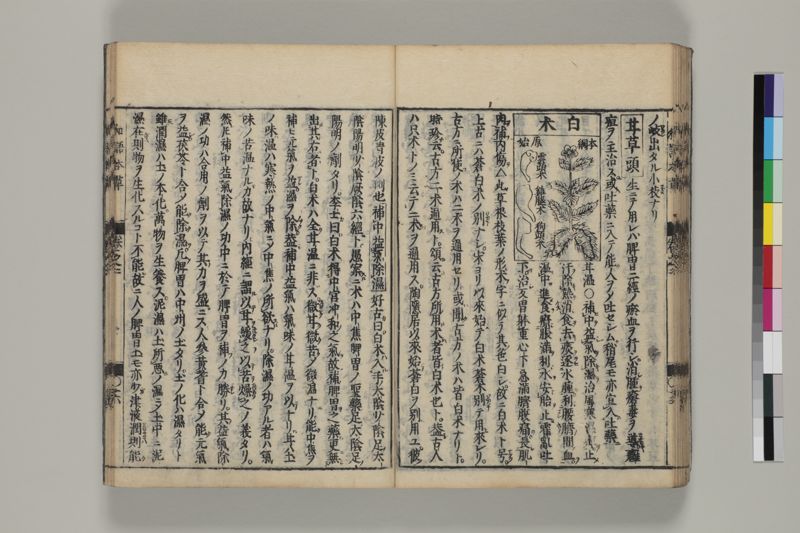 廣益本草大成 , 巻之1-2