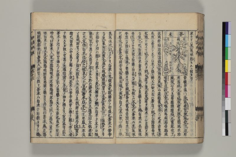 廣益本草大成 , 巻之1-2