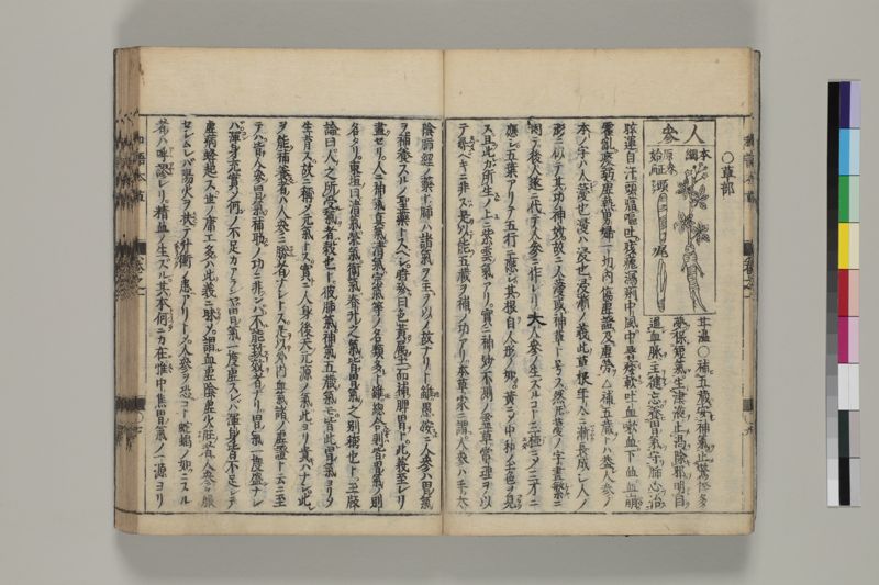 廣益本草大成 , 巻之1-2