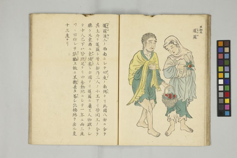 外蕃容貌圖画 , 乾